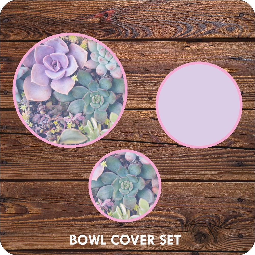 Succulent Table Set