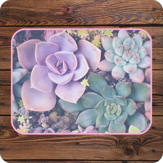 Succulent Placemats